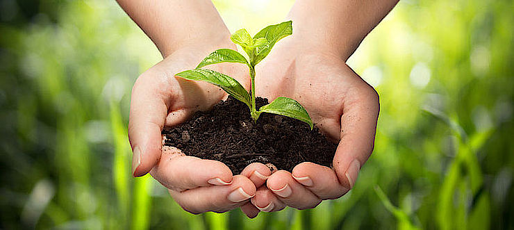 Field School in Donetsk Region Opens