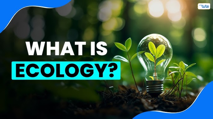 AI Research in Environmental Data Analysis