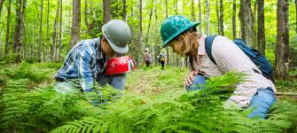Collaboration with Zaporizhzhia Environmental NGO
